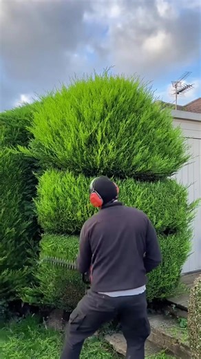 Satisfying Landscaping Transformation Videos