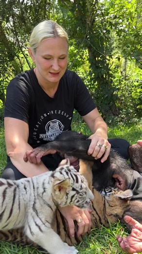 Myrtle Beach Safari (@myrtlebeachsafari)’s videos with original sound - Myrtle Beach Safari