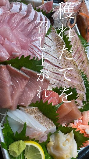 金沢 上島商店＿shinpei ueshima on Instagram: "金沢港 いきいき魚市場 上島商店です😊 県外からのお客様も沢山来られるいきいき魚市場では店頭の魚を選んで調理しイートインコーナーで食べて頂く事もできます‼︎ 上島商店では一尾300円で食べるばっかりに調理もしております。（※混雑時は対応致しかねます🙏） ぜひ新鮮穫れたての鮮魚をお召し上がり下さい😊 #七尾#金沢#いきいき魚市#鮮魚#kanazawa#上島商店#石川県#金沢港#鮮魚販売#上島商店 #夕飯#昼食#魚#金沢#魚屋#いきいき魚市場#海鮮丼#石川県#ランチ#魚料理"