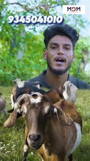 தேடிப் பார்த்தாலும் கிடைக்காது! 💎 Best Quality, Best Price - அது நம்ம Nano Milking Machine மட்டுமே!😉