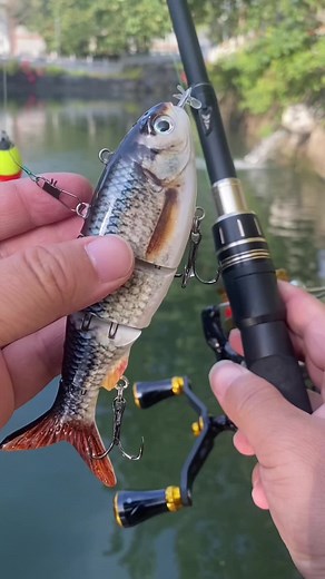 HADORAM Lure on TikTok