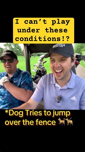 I can’t play under these conditions 😭🐕