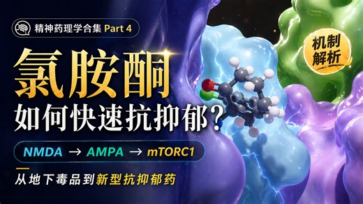 SSRI要等几周，它只要几小时？3D硬核解析氯胺酮“一键重启”大脑的机理