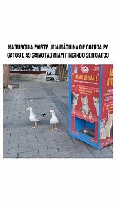 Cara inacreditável KKKKKKKKKK | Space Cooper