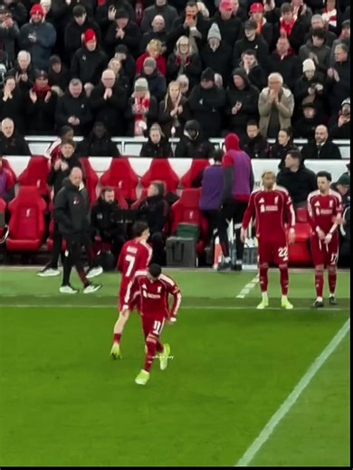 Solutions for View Problems on Edits