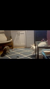 61 reactions · 5 comments | Binky[ bing-kee ] noun, plural bin·kies....