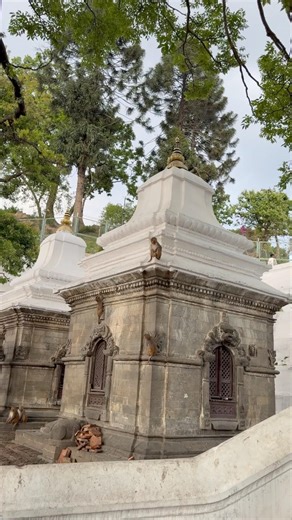 Why Millions Visit Pashupatinath Every Year ?🕉️ 🇳🇵 #travel