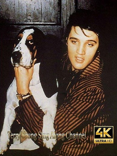 Elvis Old Shep mans best friend #viralvideo #shortvideo #shorts #viralvideo