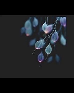 Magic Forest Overlays: PNG Clipart Bundle for Fantasy Photography (digital Download) - Etsy