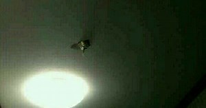 Explosions in the kitchen: This is why you don’t heat canned coffee directly on the stove…