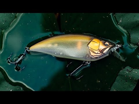 Megabass Big M 2.0 Crankbait