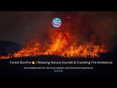 Forest fire 🔥 | Relaxing Nature Sounds & Crackling Fire Ambience