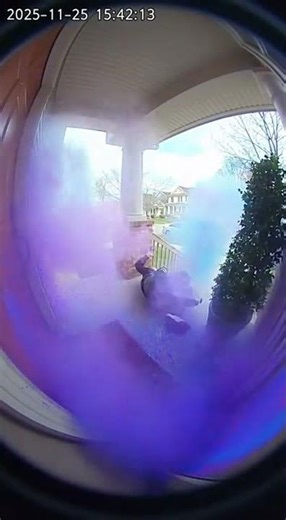 Ink Trap Porch Pirate #7