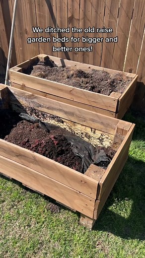 Best Raised Garden Beds for Plant Lovers