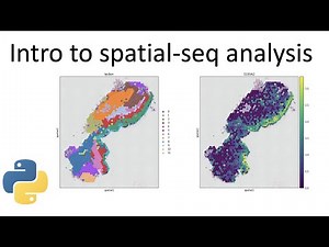 Introduction to spatial sequencing data analysis