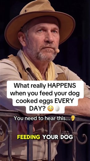 Feeding Dogs Cooked Eggs: Daily Benefits Revealed