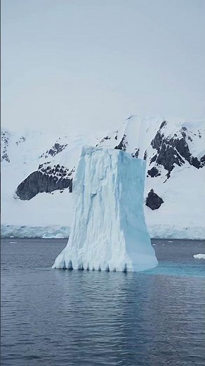 Crazy Facts About Antarctica You Didn’t Know! #antarctica facts
