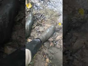 Heeled leather boots in muddy stream