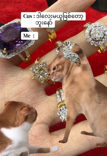 #chawsugemsandjewellery #tiktokmyanmar #trending #jewelry #meme