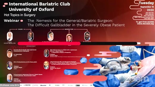 The Nemesis for the General/Bariatric Surgeon: The Difficult Gallbladder in Severely Obese Patient