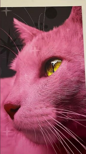 Recordando la exposición "La Pantera Rosa en el Rosaverso Mexicano" que estuvo en el MUMEDI
