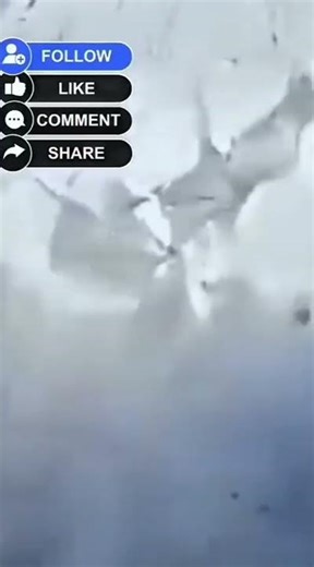 How Do Locals Turn Snow Removal into a Snow Day Adventure?