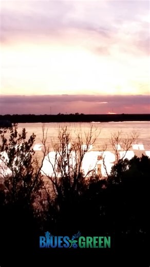 🎶 Take Me to the River: New Orleans 🎶 We’re excited to bring Take Me to the River: New Orleans to Springfield — a powerful celebration of music, culture, and community inspired by the award-winning documentary. ✨ Free Film Screening 📽️ Take Me to the River: New Orleans 🗓️ Saturday, January 3 ⏰ 4:00 PM 📍 Hope Center for the Arts 🎤 Live Concert (Benefit for the Springfield Jazz & Roots Festival) 🗓️ Friday, January 9, 2026 ⏰ 7:00 PM 📍 Hope Center for the Arts Featuring Cyril Neville, Big Ch