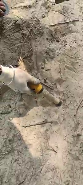 minelab pro-find 35 pinpointer with beach ⛱️| metal detector #shorts #youtubeshorts #metaldetector