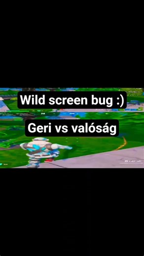 Amikor arcon csap a valóság XD (Wild screen bug thanks YouTube :) ) #fortnite #epicpartner #gaming