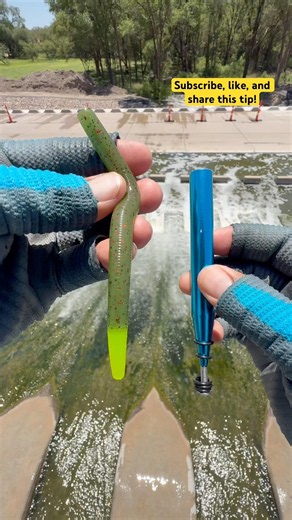 Tips setting Up wacky for Bass#fishing#viralvideo#youtubeshorts#shortvideo#viral#shorts#tips#short