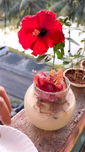 No Eggshell? Try This FREE Fertilizer for Crazy Blooms! 🌸 #garden #plants #gardening