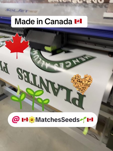 Support our Canadian seed company! High-quality, garden-tested seeds for beautiful blooms and bountiful harvests. #MatchesSeeds #GardenCanada #SupportSmallBusiness #FlowerSeeds #GrowYourOwn #GardeningCommunity #CanadianMade #HeirloomSeeds #SeedStarting #growwithus #GardeningIsLife #canadatiktok #madeincanada #madeforcanada #madebycanada #gardentiktok #gardeningtiktok #canada_life🇨🇦 #madeincanada🇨🇦 #commonwealth