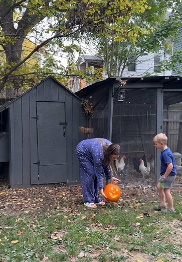 Backyard Chickens Carve a Pumpkin for Halloween