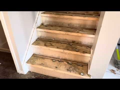 How to Remove Carpet Tack Strips Easily | DIY Flooring Tips