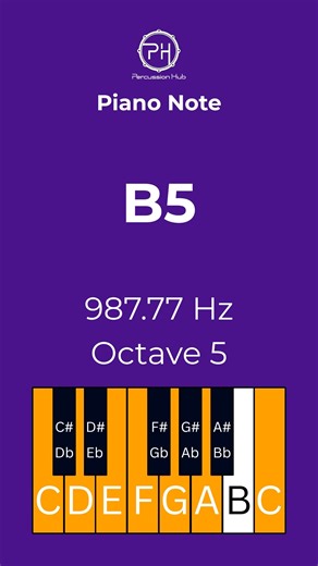 Can You Recognize This B5 Piano Note? 🎹 Hear B5 at 987.77 Hz 🎶 Train your ear and test your pitch memory! 📖 Full Post Description (Max 100 words) 🎹 Can you recognize the B5 piano note at 987.77 Hz? This high-range note is perfect for ear training and perfect pitch practice. 🎶 Replay the sound, lock it into your memory, and sharpen your listening skills. At Percussion Hub, we make music learning simple, free, and fun — every single day. 🎧 Listen carefully. 💬 Comment if you got it right. 📌