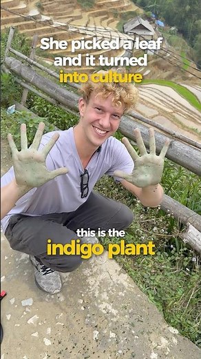 Indigo and Black Hmong Culture Part 1