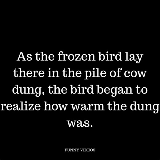 A LITTLE BIRD WAS FLYING SOUTH FOR THE WINTER. | Funny Videos