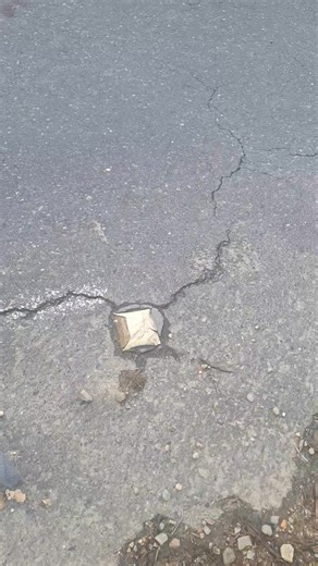 Parte #3 | Dia Dia Con Elvia