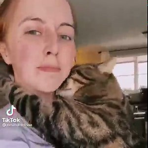 550K views · 10K reactions | Hooman, i wanna say "i love you", Only you 殺 | Meow Meow | Facebook