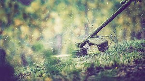 Why My String Trimmer Head Won't Spin? | DIY Repair Clinic