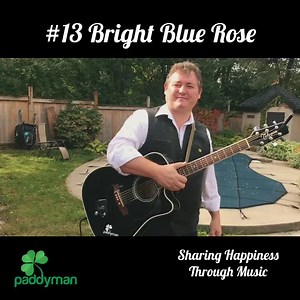 2.5K views · 102 reactions | #13 of 100. Bright Blue Rose. A lovely song written by Jimmy McCarthy. Have a listen and see if you can figure out what it’s about! | Paddyman | Facebook