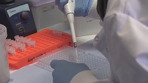 Pfizer seeking emergency authorization from FDA on COVID vaccine by end of Nov.