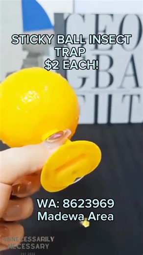 Sticky Ball Insect Trap - INSTOCK! $2 Each! Effectively traps flies, mosquitoes, and other insects without chemicals or odour. Easy to hang anywhere indoors or outdoors for a cleaner, pest-free environment. Colours available: Yellow FREE DELIVERY NATIONWIDE for purchases of $30 and above from us. Message us at +673 8623969 to get yours now! ✉ | Unnecessarily Necessary | Facebook