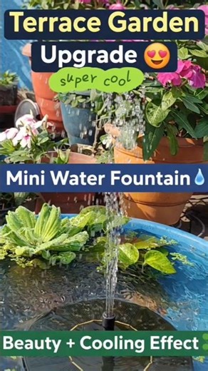 Mini Solar Fountain for Terrace Garden 😍 | Garden Upgrade Idea 🌿 #Shorts