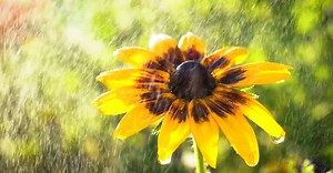 Video by Adver Design on Pexels