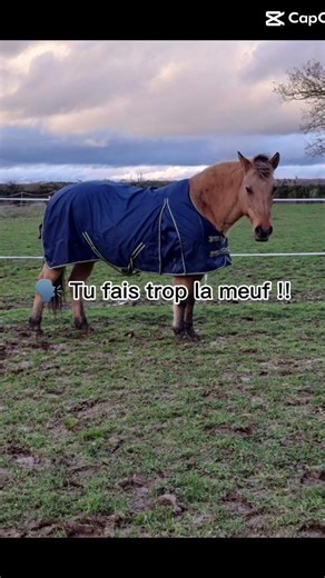 Se que je réponds aux gens quand ils me disent que je fais trop la meuf