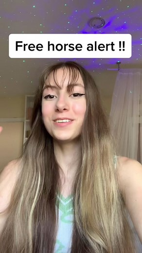 FREE HORSE *star stable birthday horse Sneak Peaks* #starstable #starstablespoilers #starstablespoiler #ssospoilers #ssospoiler #starstablejorse