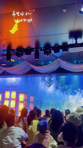 海洋馆奇遇✨沉浸式观看美人鱼表演，治愈又浪漫