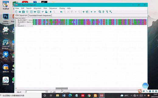 使用MEGA进行DNA多序列比对