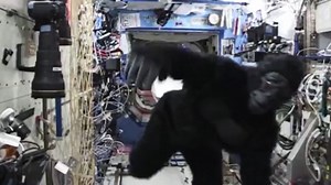 Astronauts monkey around in space